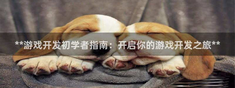 沐鸣娱乐2