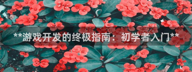 沐鸣娱乐2代理