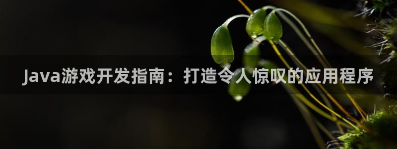沐鸣娱乐2登录平台官网网址