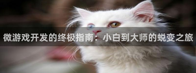 沐鸣2平台官网