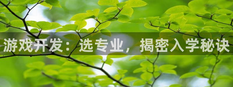 沐鸣2平台官网