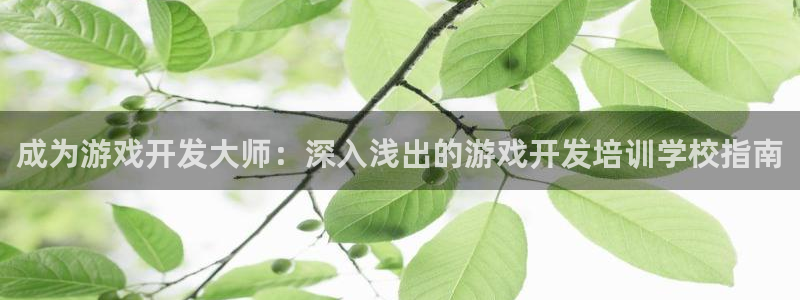 沐鸣娱乐2手机下载