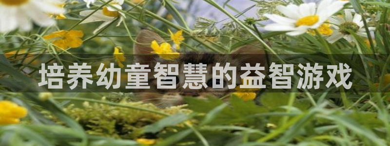 沐鸣娱乐2可靠吗