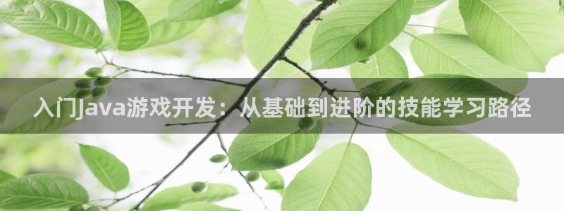 沐鸣娱乐2在线注册：入门Java游戏开发：从基础到进阶的技能学习路径