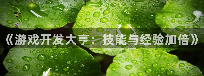 沐鸣2登录测速：《游戏开发大亨：技能与经验加倍》