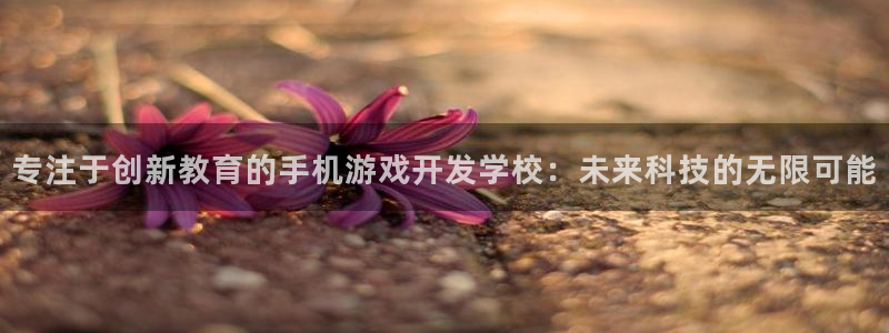 沐鸣2平台官网登录：专注于创新教育的手机游戏开发学校：未来科技的无限可能