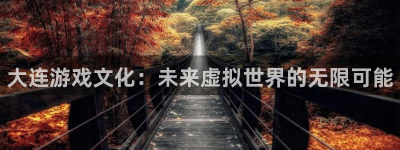 沐鸣2代理求27337：大连游戏文化：未来虚拟世界的无限可能