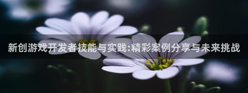 沐鸣娱乐2：新创游戏开发者技能与实践:精彩案例分享与未来挑战