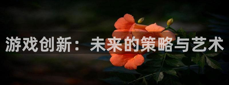 沐鸣娱乐2登入：游戏创新：未来的策略与艺术