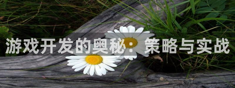 沐鸣2代理：游戏开发的奥秘：策略与实战