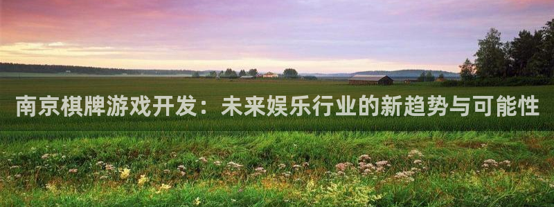 沐鸣2娱乐注册登录平台：南京棋牌游戏开发：未来娱乐行业的新趋势与可能性