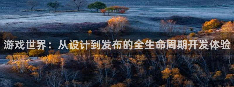 沐鸣娱乐2上来77542：游戏世界：从设计到发布的全生命周期开发体验
