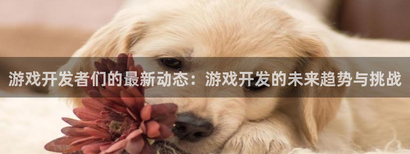 沐鸣娱乐2是正规平台么：游戏开发者们的最新动态：游戏开发的未来趋势与挑战