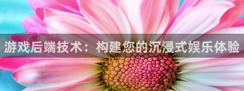 沐鸣娱乐2测速