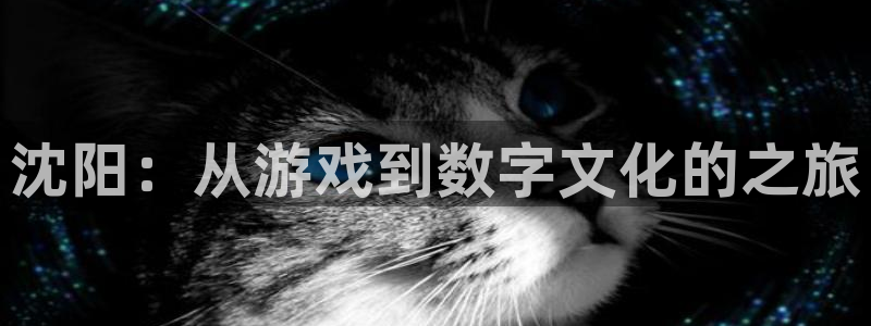 沐鸣2代理酋27337