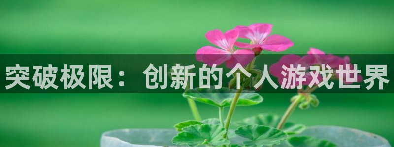 沐鸣2平台关7O777：突破极限：创新的个人游戏世界