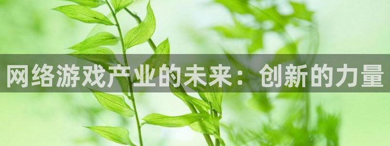 沐鸣2登录测试：网络游戏产业的未来：创新的力量