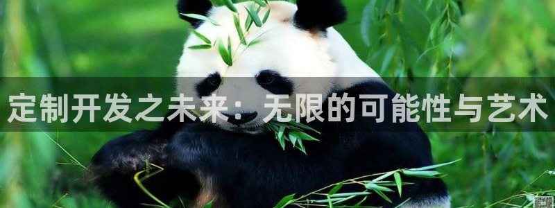 沐鸣代理22927：定制开发之未来：无限的可能性与艺术