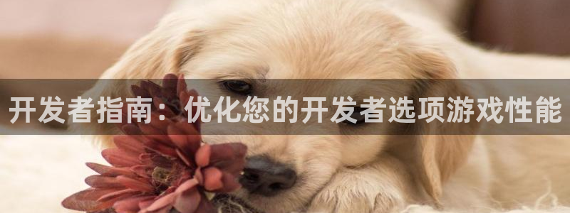 沐鸣2平台官网：开发者指南：优化您的开发者选项游戏性能