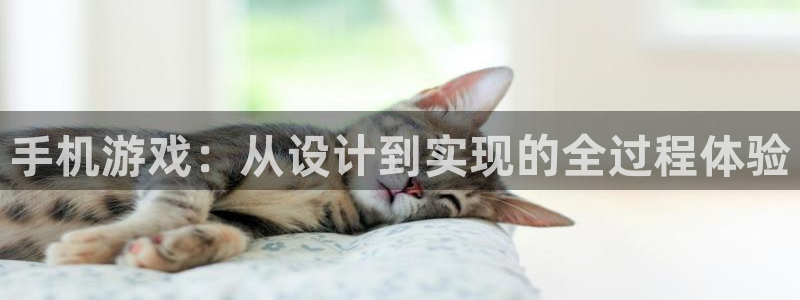 沐鸣娱乐2登录地址：手机游戏：从设计到实现的全过程体验