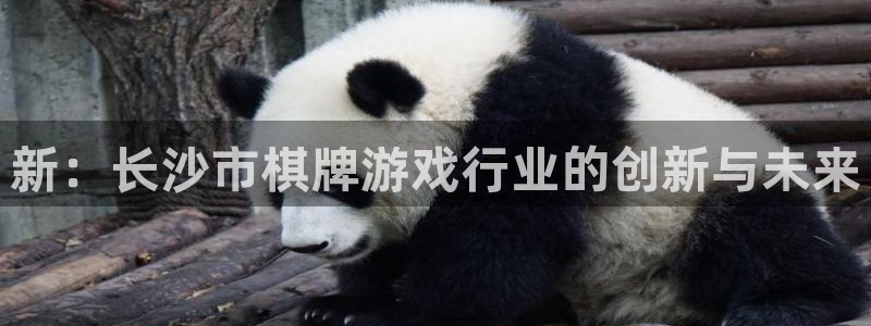 沐鸣2测速登录：新：长沙市棋牌游戏行业的创新与未来