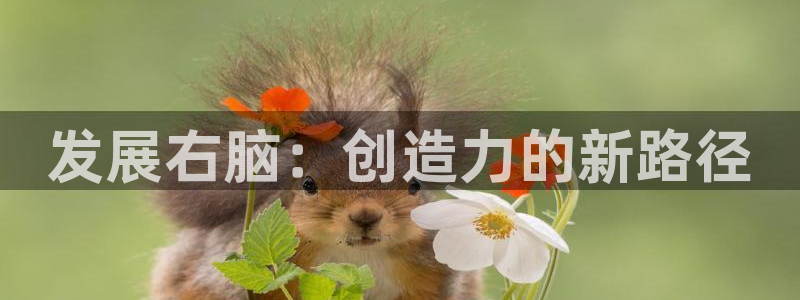 沐鸣2官网