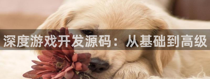 沐鸣2注册登陆：深度游戏开发源码：从基础到高级