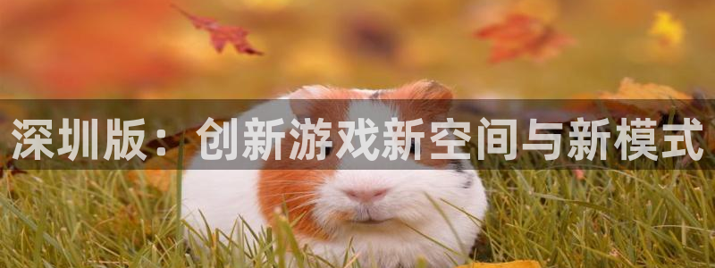 沐鸣娱乐2黑客户吗：深圳版：创新游戏新空间与新模式