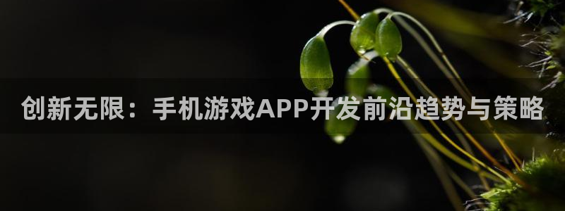 沐鸣2平台测速：创新无限：手机游戏APP开发前沿趋势与策略