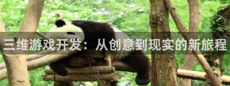 沐鸣娱乐2手机下载破解版：三维游戏开发：从创意到现实的新旅程