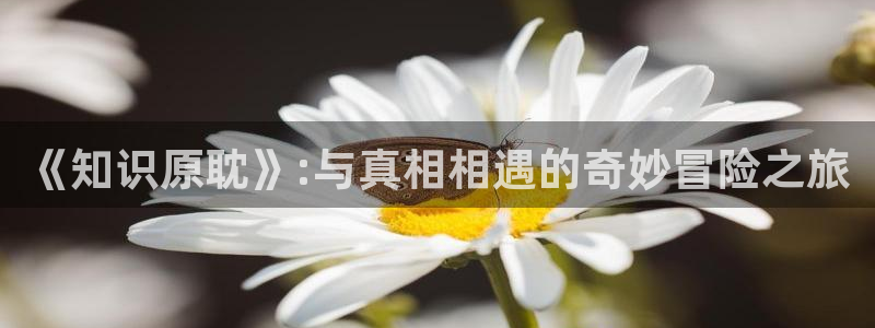 话本小说免体力值无广告纯净版：《知识原耽》:与真相相遇的奇妙冒险之旅