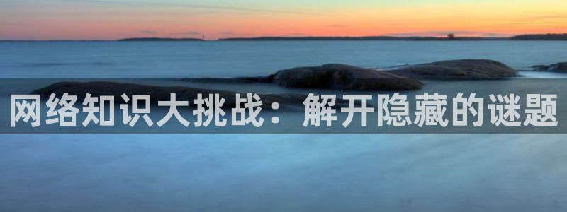 话本小说体力值：网络知识大挑战：解开隐藏的谜题