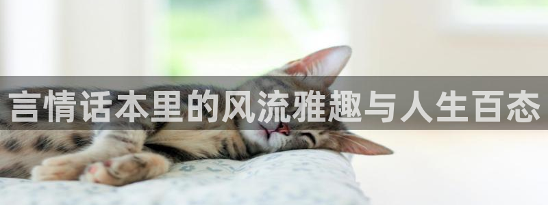 tnt话本小说：言情话本里的风流雅趣与人生百态