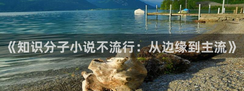 话本小说网在线阅读：《知识分子小说不流行：从边缘到主流》