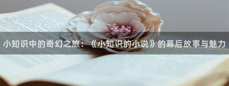 极限挑战话本小说：小知识中的奇幻之旅：《小知识的小说》的幕后故事与魅力